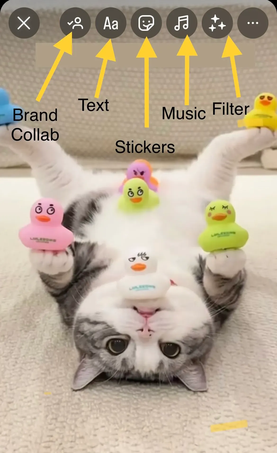 Stories editing menu - top