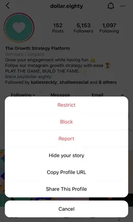 Pop up menu in the instagram app showing the block option.