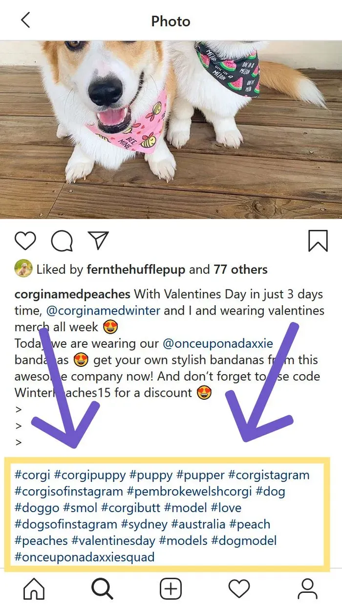 Use appropriate hashtags to help gain more reach and grow on Instagram