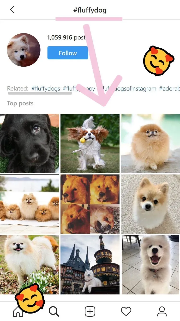 Hashtags show you related posts, and they allow you to get further exposure on your posts and stories