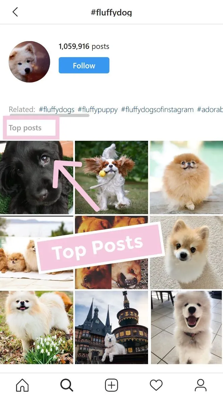 Top hashtags are the most relevant and popular posts under a certain hashtag.