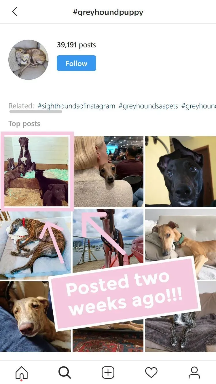 Focus on niche hashtags so your post will be more discoverable and easily found.