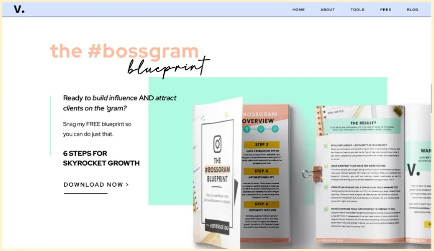 Screenshot of a free pdf used to generate leads