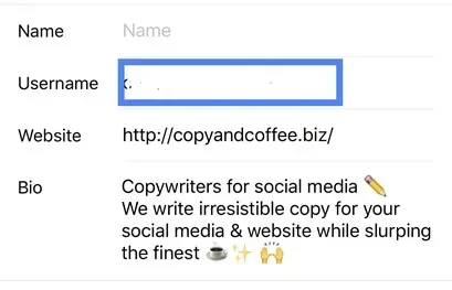 Screenshot of a Instagram profile, changing the username.