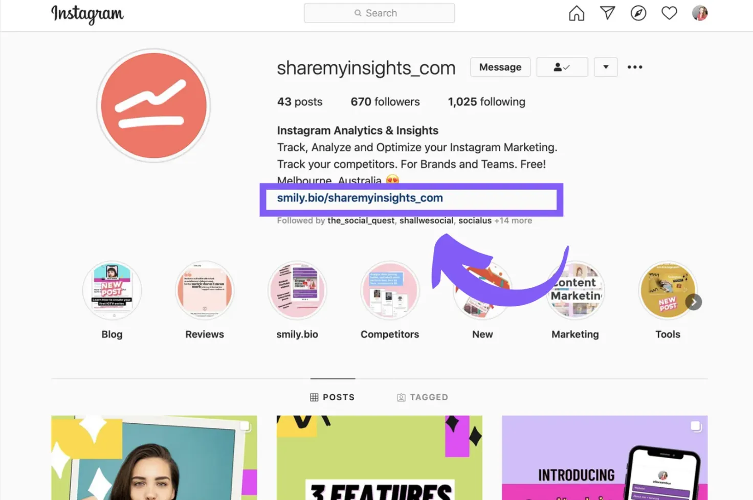 Screenshot of an Instagram bio using a smily.bio link