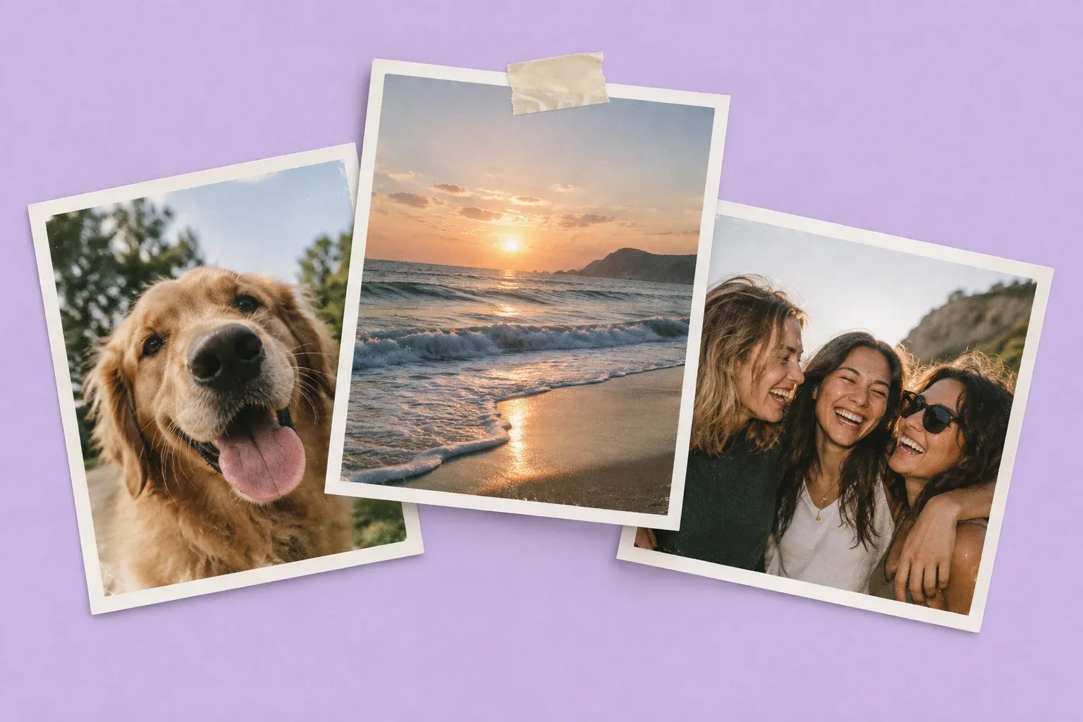 Three overlapping snapshots of a dog, a beach and laughing friends on lavender paper.