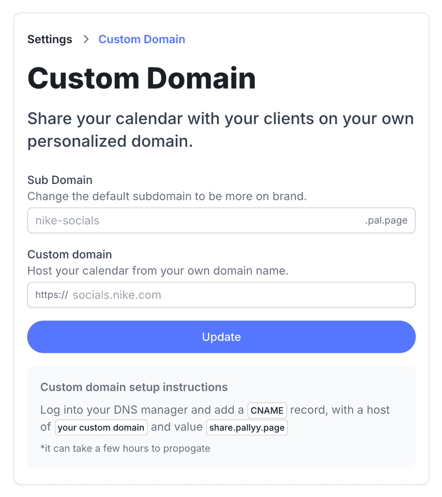 The custom domain settings page in Pallyy where you connect your own domain