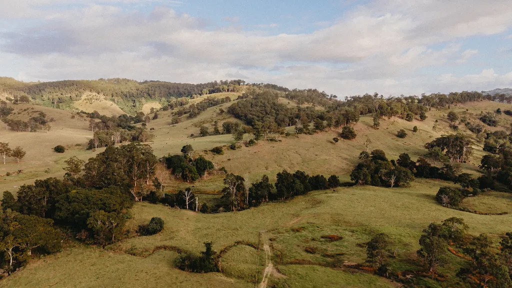 Wallaringa Farm accommodation and countryside view