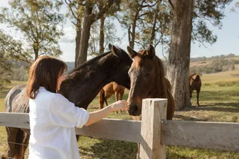Jordana from Wallaringa Farm with horses in a paddock