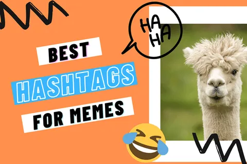 Preview for article Best Meme Hashtags for Followers and Growth