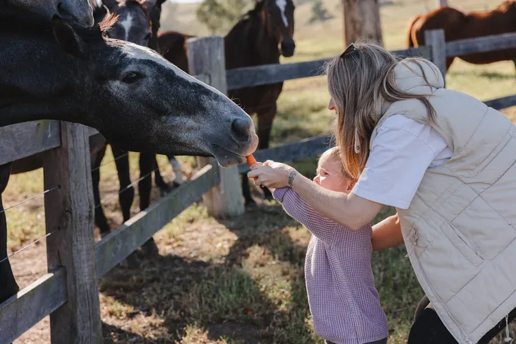 Wallaringa Farm guests feeding horses in a paddock