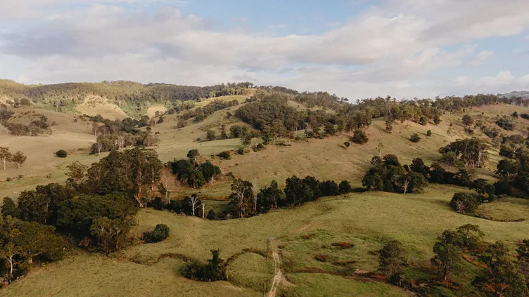 Wallaringa Farm accommodation and countryside view